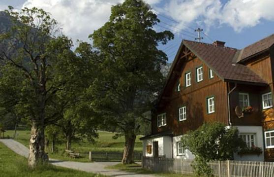 Appartements Wieseneck - Ramsau Am Dachstein - Inklusive Sommercard ! Ramsau am Dachstein Eksteriør bilde