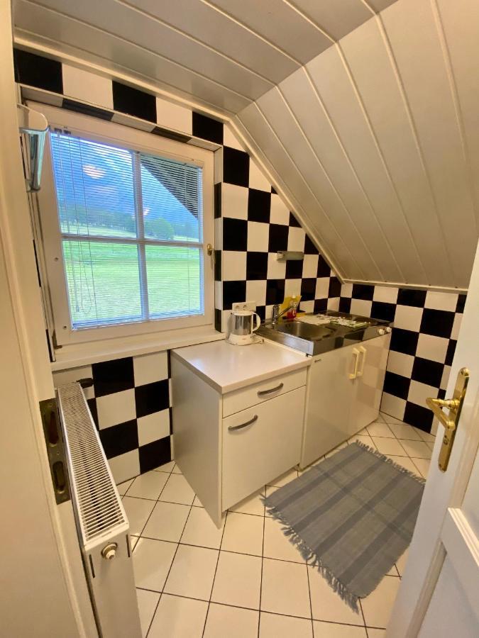 Appartements Wieseneck - Ramsau Am Dachstein - Inklusive Sommercard ! Ramsau am Dachstein Eksteriør bilde