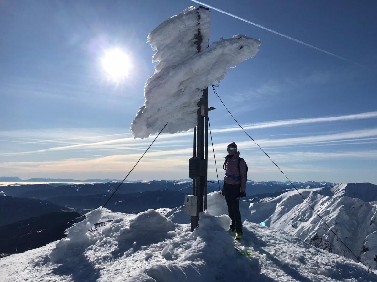 Appartements Wieseneck - Ramsau Am Dachstein - Inklusive Sommercard ! Ramsau am Dachstein Eksteriør bilde