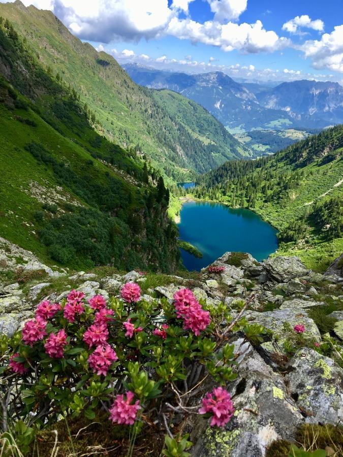 Appartements Wieseneck - Ramsau Am Dachstein - Inklusive Sommercard ! Ramsau am Dachstein Eksteriør bilde
