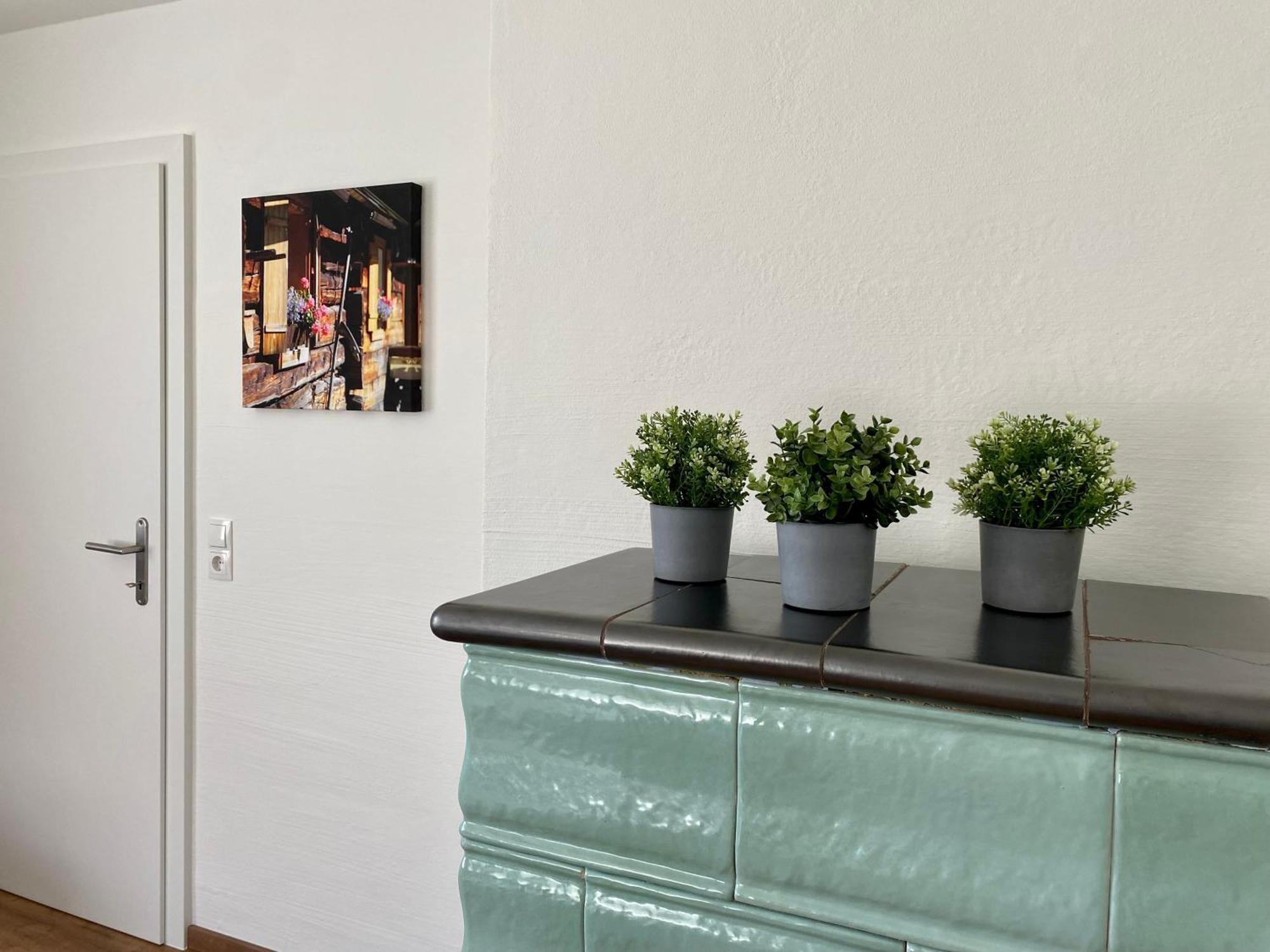 Appartements Wieseneck - Ramsau Am Dachstein - Inklusive Sommercard ! Ramsau am Dachstein Eksteriør bilde