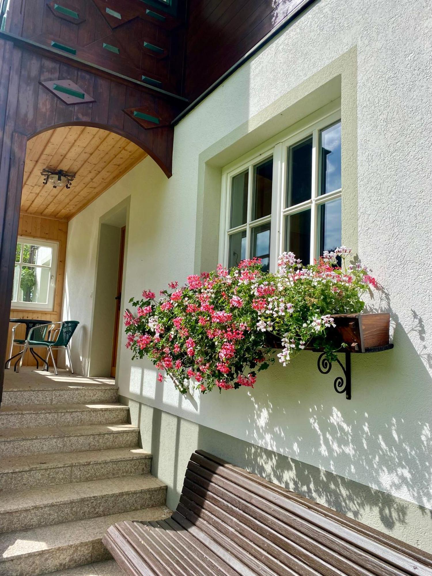 Appartements Wieseneck - Ramsau Am Dachstein - Inklusive Sommercard ! Ramsau am Dachstein Eksteriør bilde